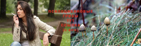 соль курить ск Алексин